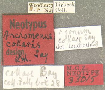 Media type: image;   Entomology 33015 Aspect: labels